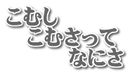 こむし 　こむさって 　　　なにさ